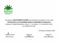 /album/meus-certificados/certificado015-jpg/